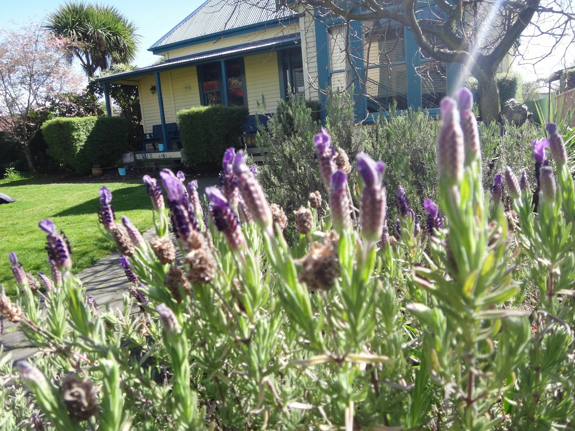 The Old Countryhouse Hotel Christchurch Exterior photo